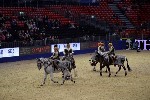 Quadrille - 00767